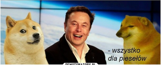 Elon Musk i pieseły
