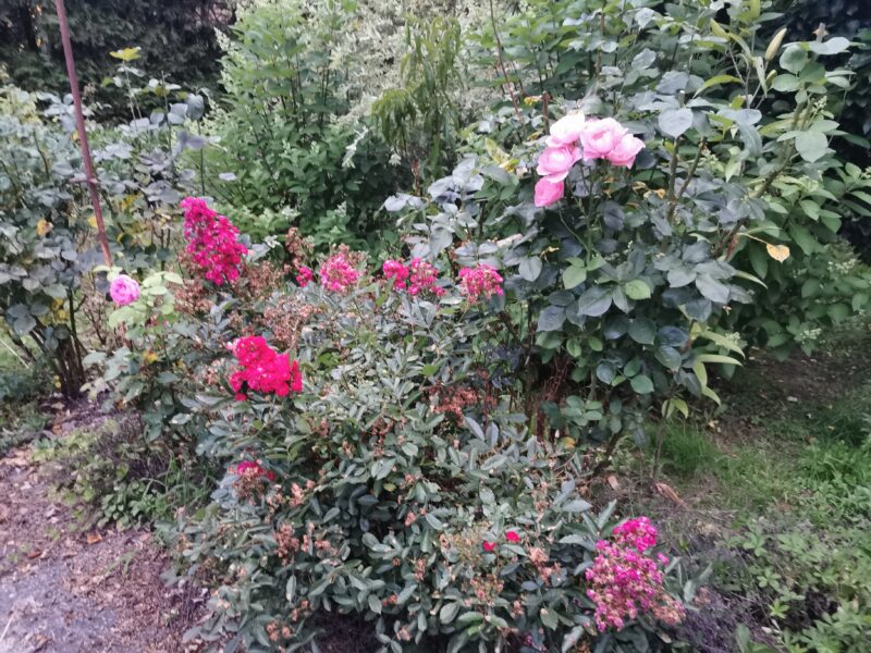 Img 20250722 203441
