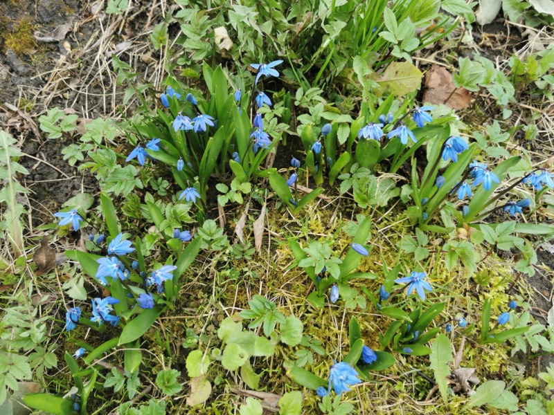 IMG 20230324