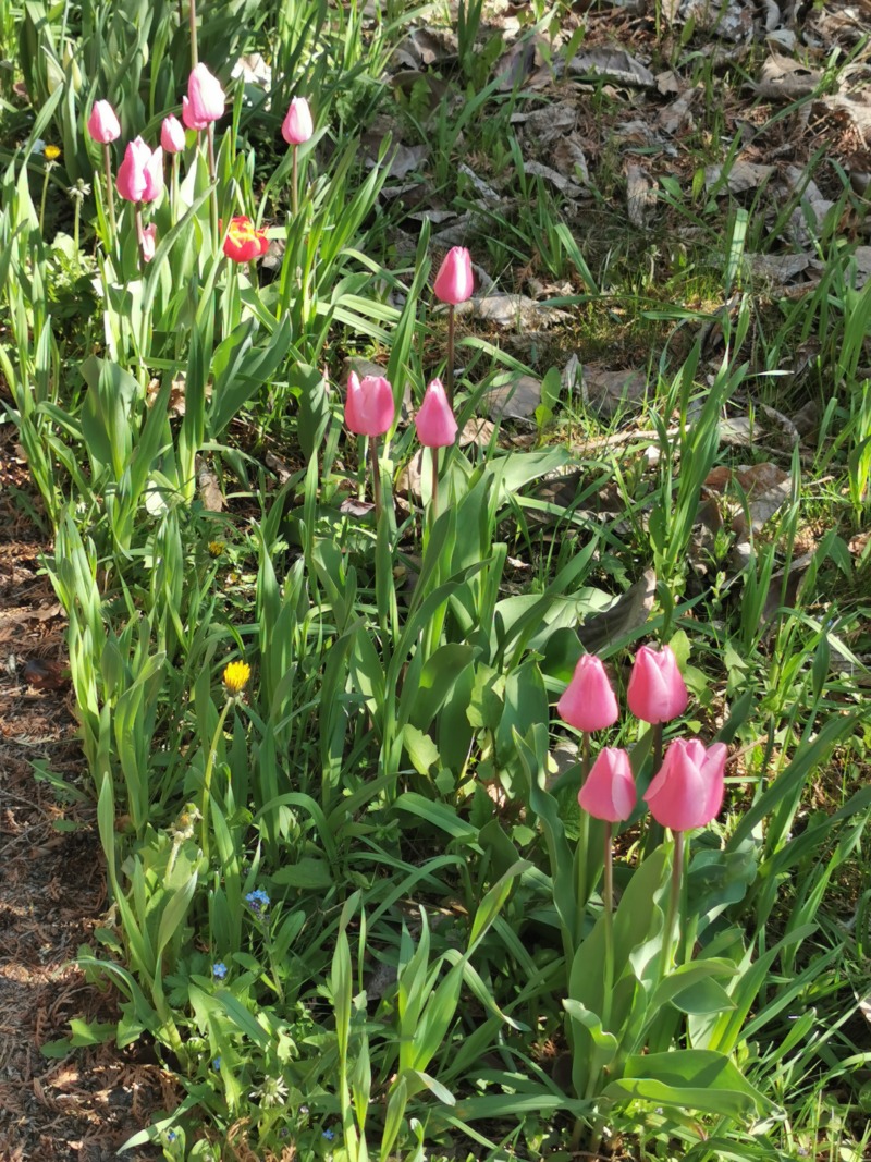 IMG 20260422
