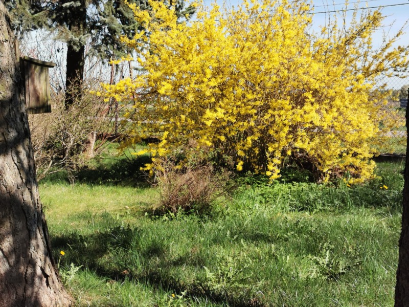 IMG 20260422